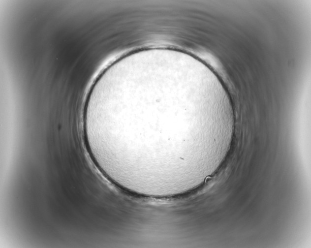 X0000084571191200703161717