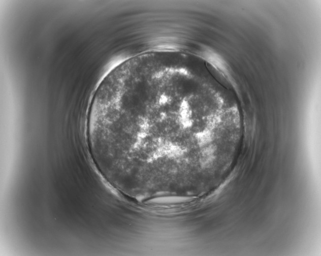 X0000084571194200703161716