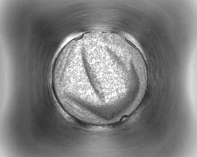 X0000084571195200703161716