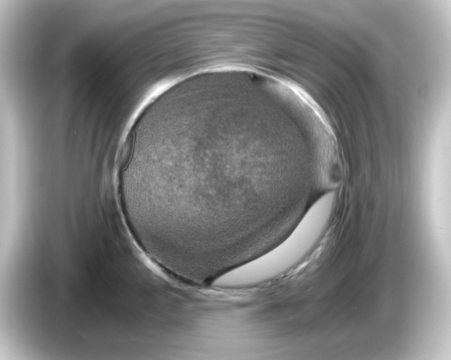 X0000084571197200703161716