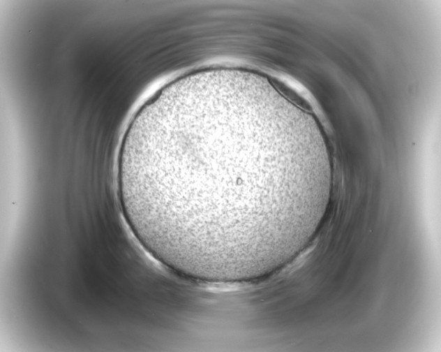 X0000084571199200703161716