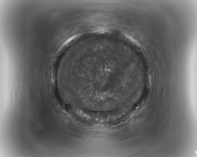 X0000084571206200703161716
