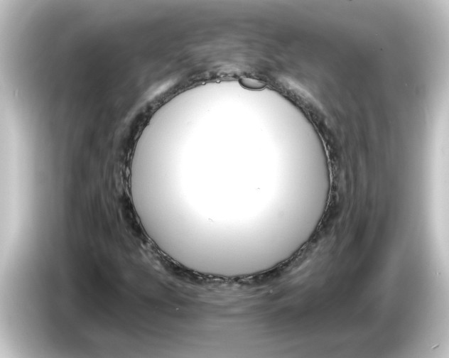 X0000084571207200703161716