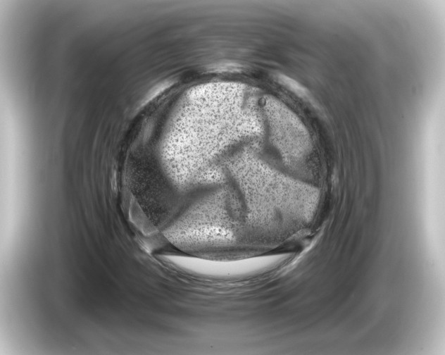 X0000084571209200703161716