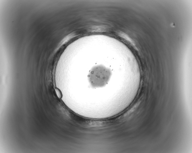 X0000084571211200703161716