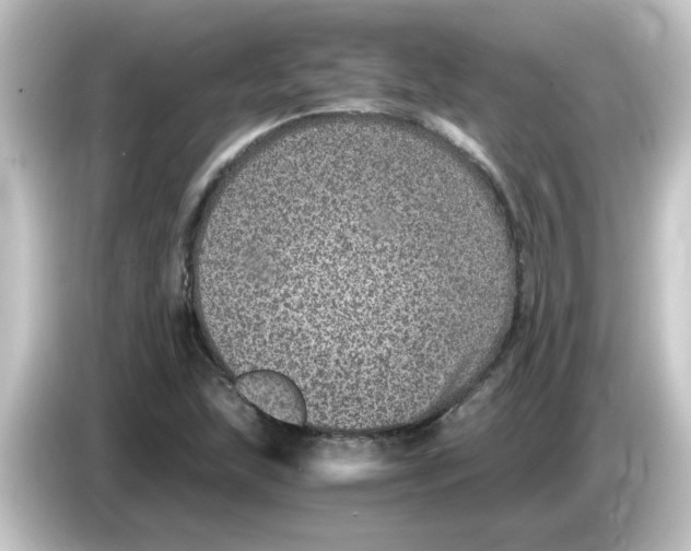 X0000084571215200703161716
