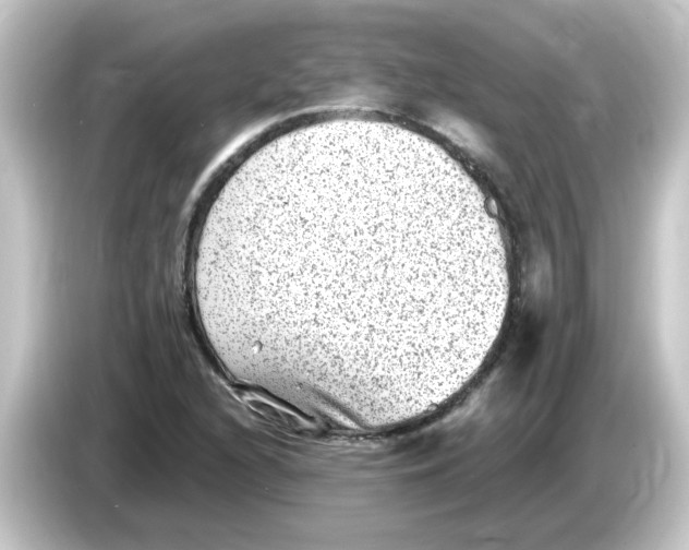 X0000084571216200703161716