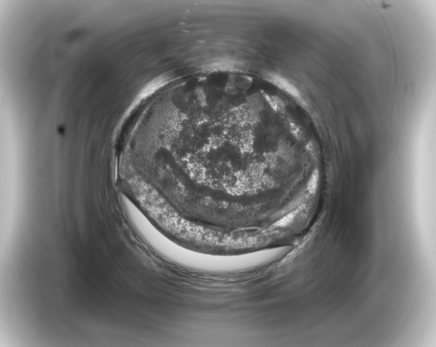 X0000084571219200703161716