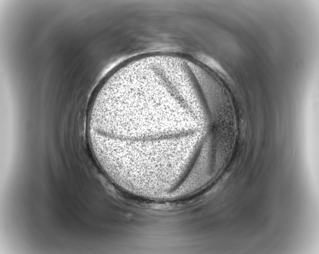 X0000084571220200703161716
