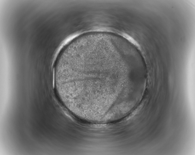 X0000084571223200703161716