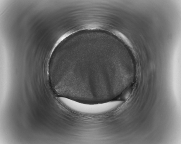X0000084571226200703161716