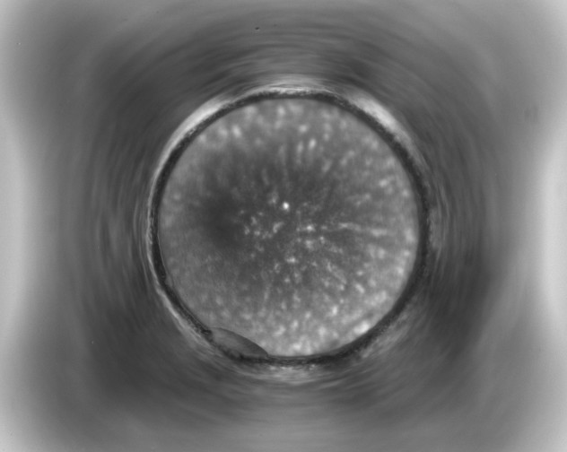 X0000084571229200703161716