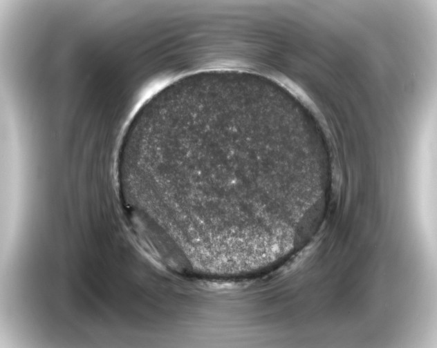 X0000084571230200703161716