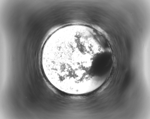 X0000084571231200703161716