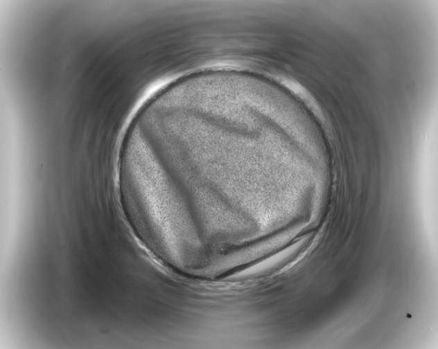 X0000084571232200703161716