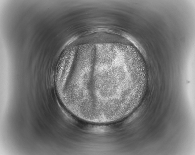 X0000084571233200703161716