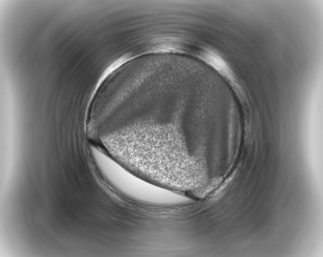 X0000084571234200703161716