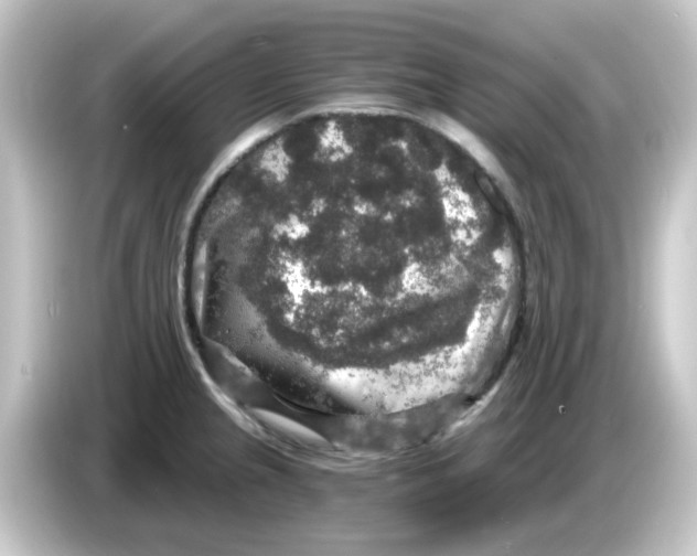 X0000084571237200703161716