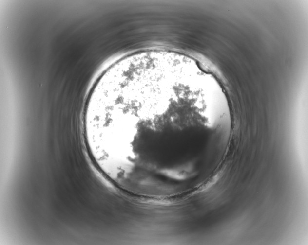 X0000084571239200703161716