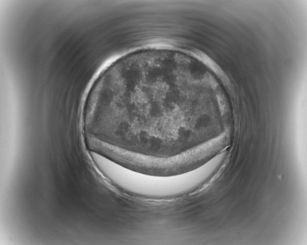 X0000084571240200703161716