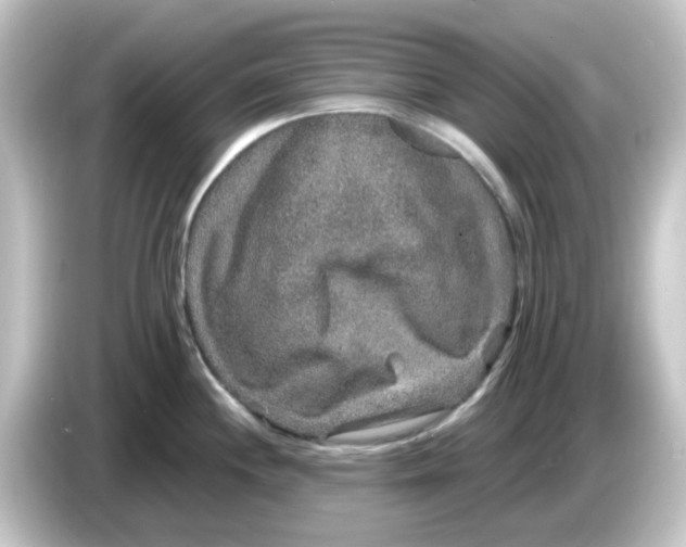 X0000084571244200703161716
