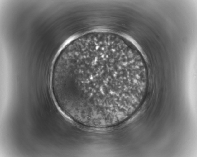 X0000084571245200703161716