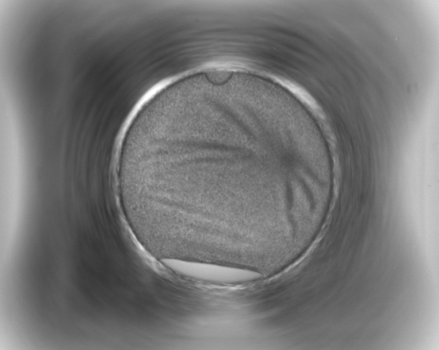 X0000084571248200703161716