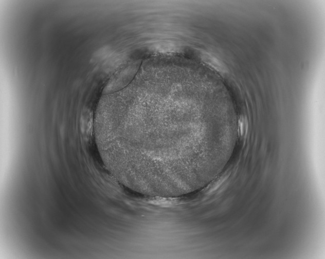 X0000084571251200703161716