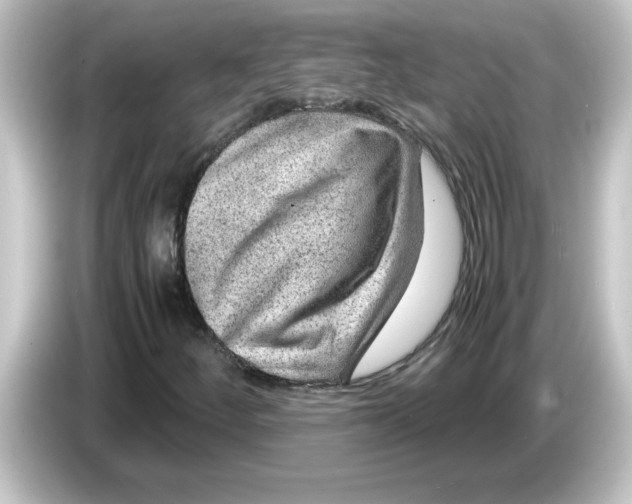 X0000084571252200703161716