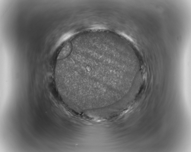 X0000084571255200703161716