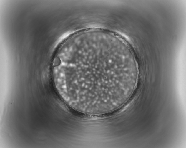 X0000084571263200703161716