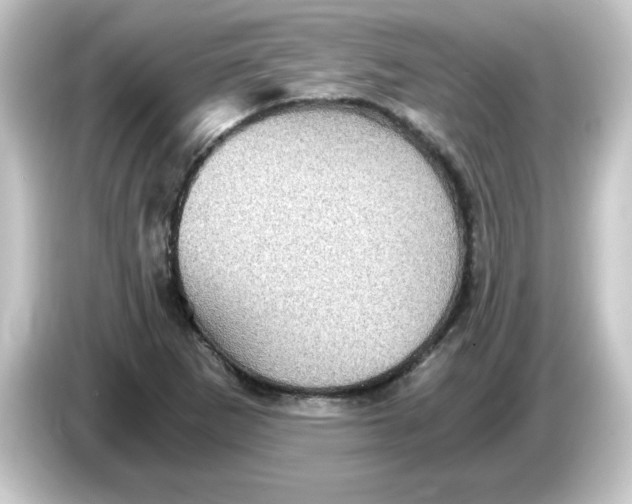 X0000084571265200703161716