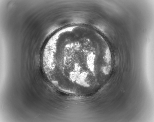 X0000084571266200703161716