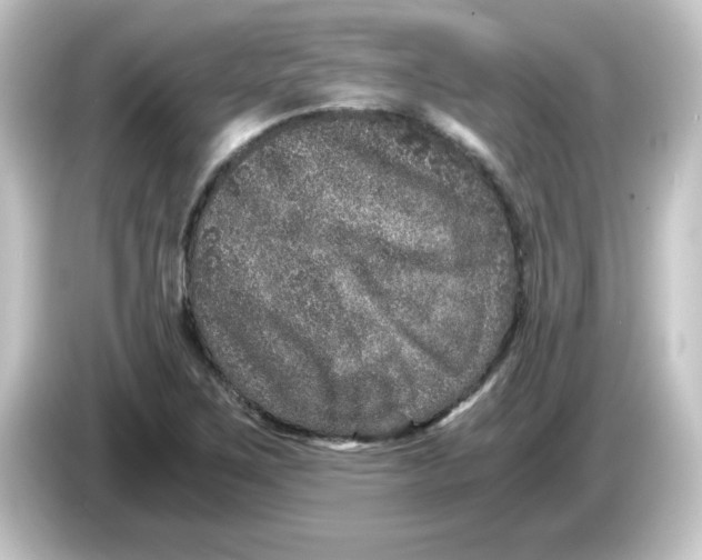 X0000084571267200703161716