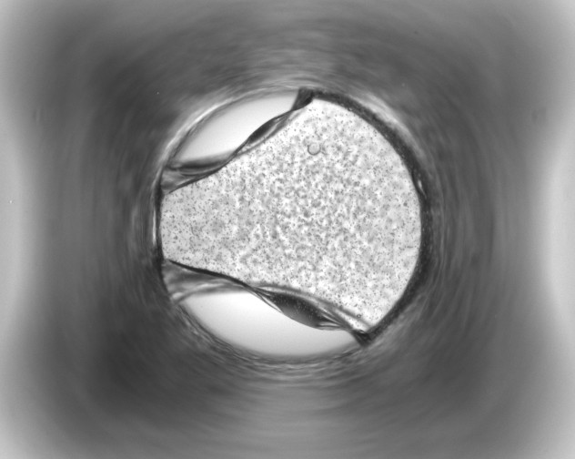 X0000084571269200703161716