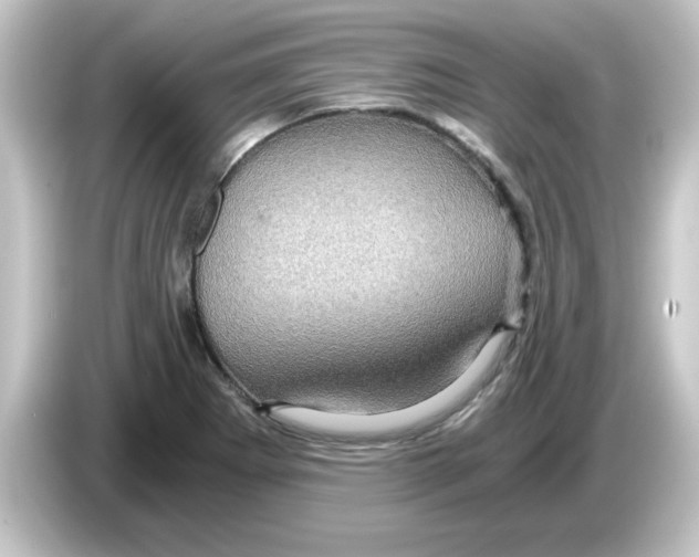 X0000084571273200703161716