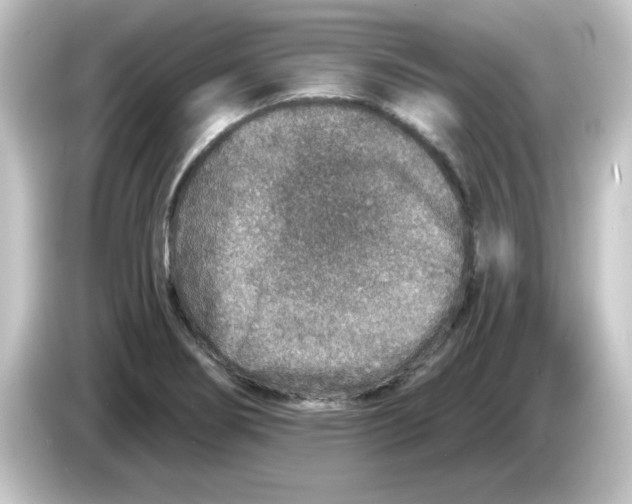 X0000084571274200703161716