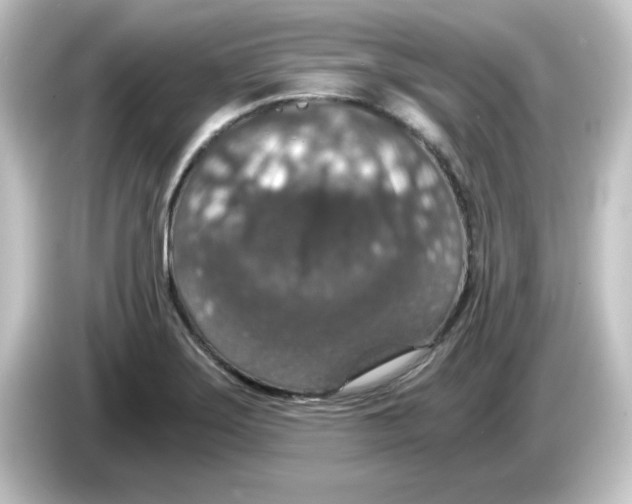 X0000084571275200703161716