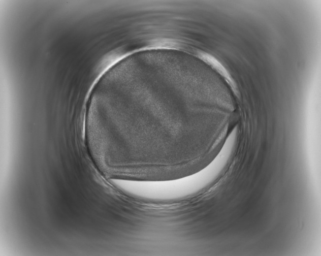 X0000084571276200703161716