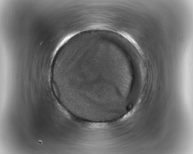 X0000084571277200703161716