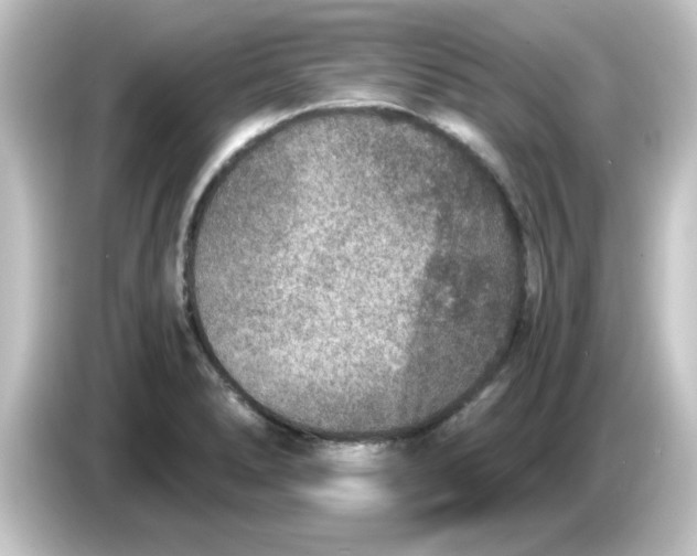 X0000084571278200703161716