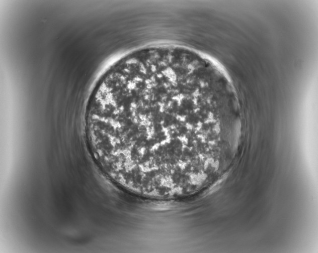 X0000084571279200703161715