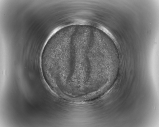 X0000084571283200703161715