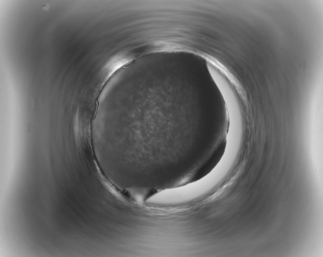 X0000084571289200703161715