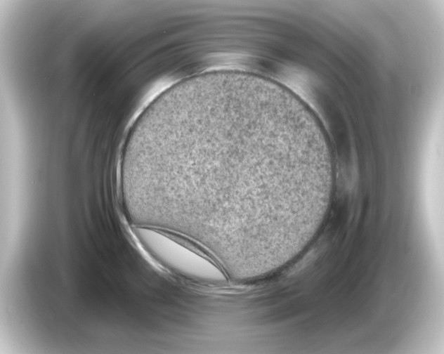 X0000084571290200703161715
