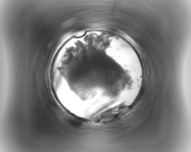 X0000084571291200703161715