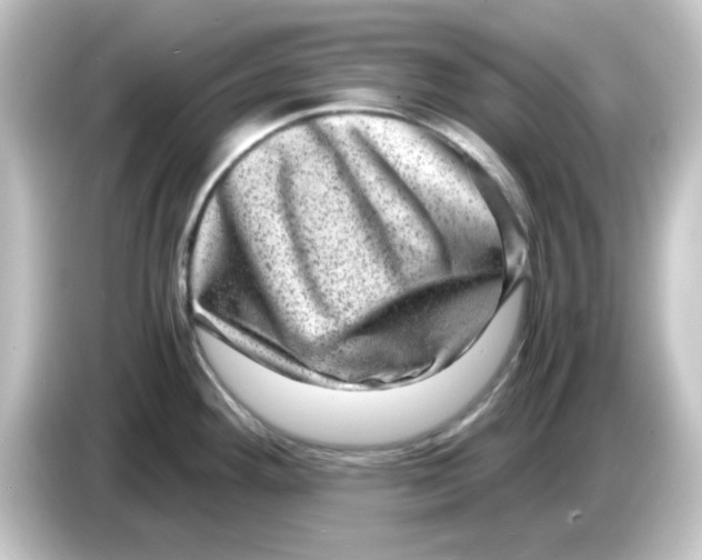 X0000084571292200703161715
