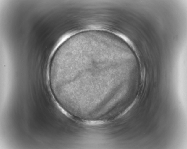 X0000084571294200703161715