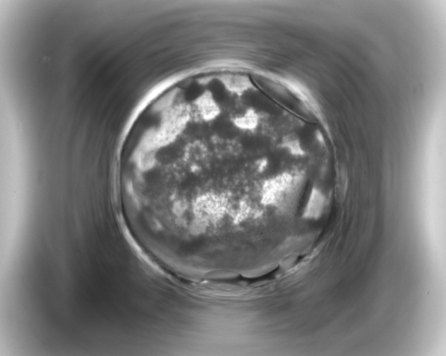 X0000084571295200703161715