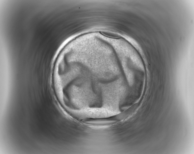 X0000084571296200703161715